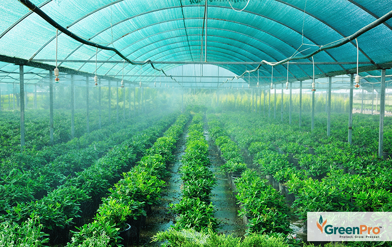 85% protection Woven Horticultural Windbreak Shade Greenhouse Netting 5m x 2m 