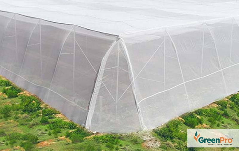 Benefits of Anti Insects Nets - GreenPro Ventures