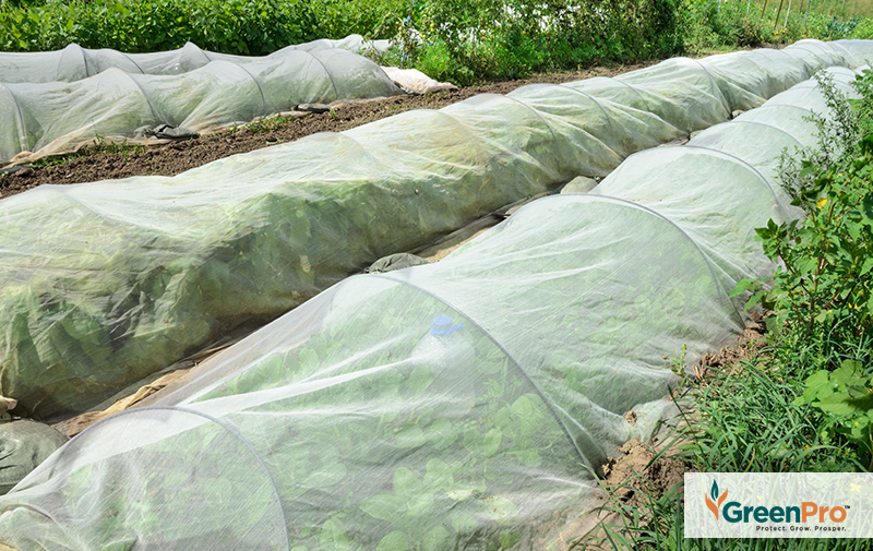 The Right Insect Net Can Help Boost Yield - GreenPro