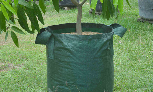 Grow Bags Manufacturers & Suppliers