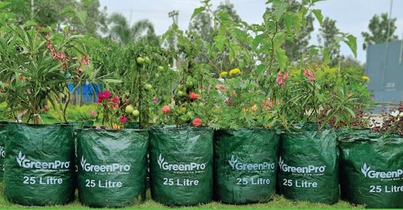 https://www.greenproventures.com/wp-content/uploads/2021/03/grow-bags-planter-bags.jpg