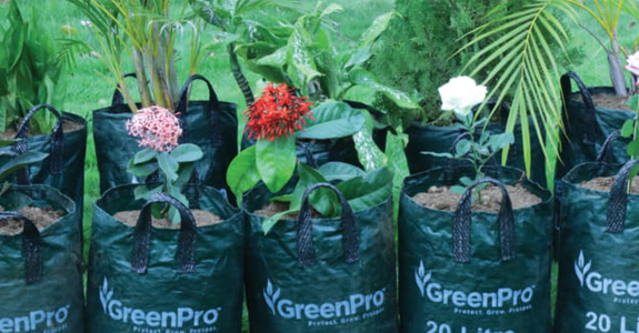 Anti-UV Plastic Grow Bags Heavy Duty Poly Planter Bags for Garden