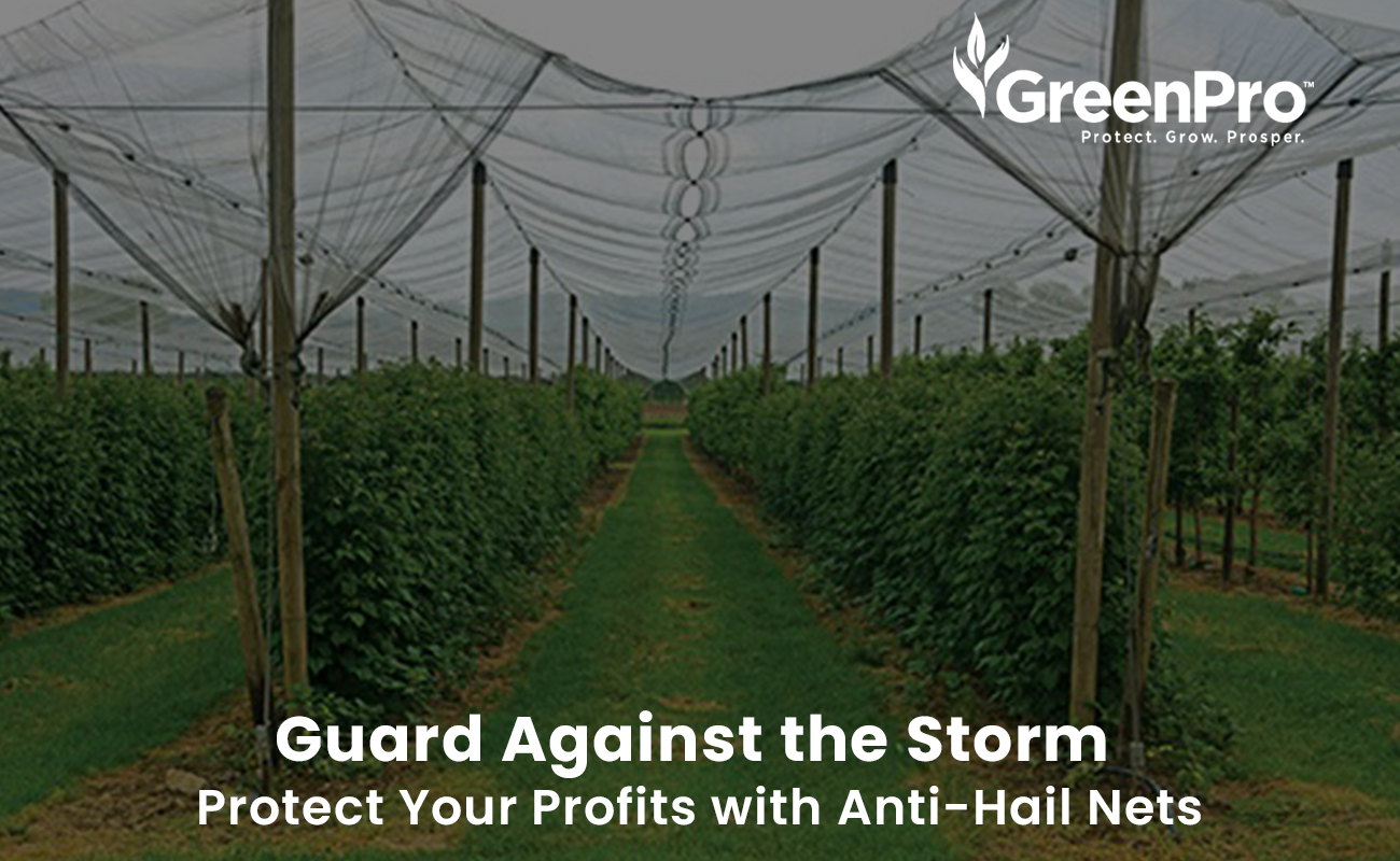 Importance of Anti Hail Net