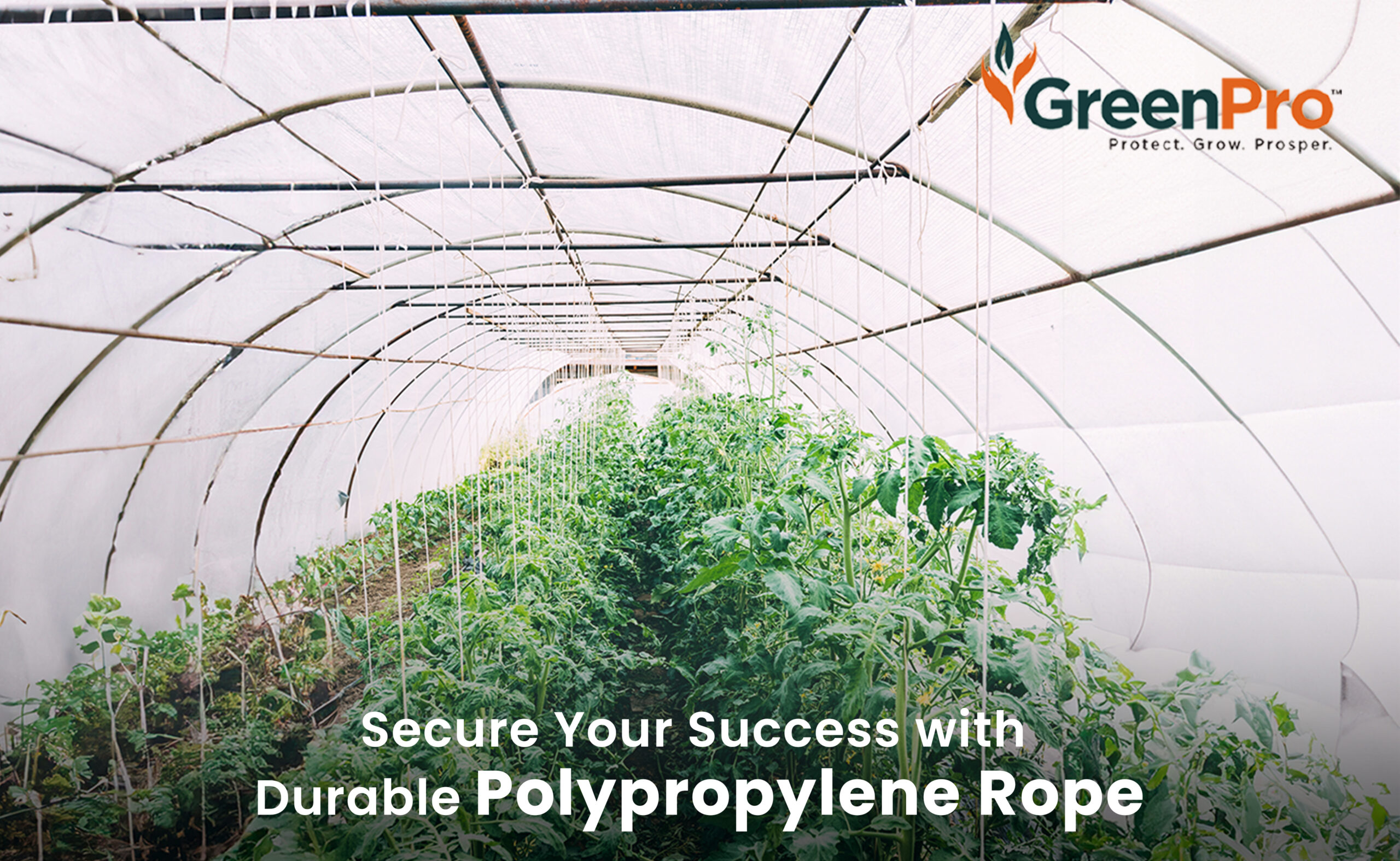 Polypropylene Rope Maintenance Tips