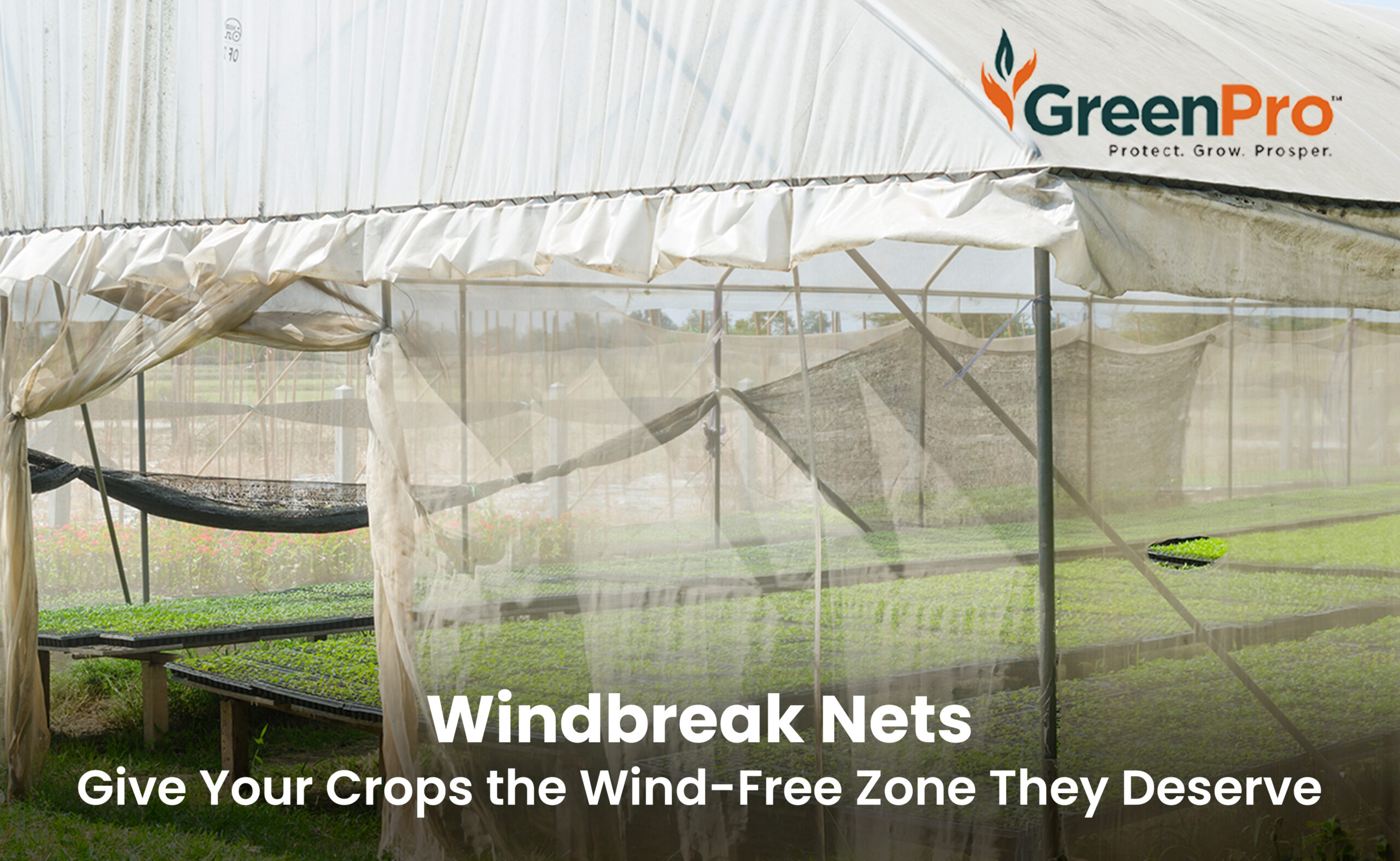 Windbreak Nets Give Your Crops The Wind Free Zone They Deserve